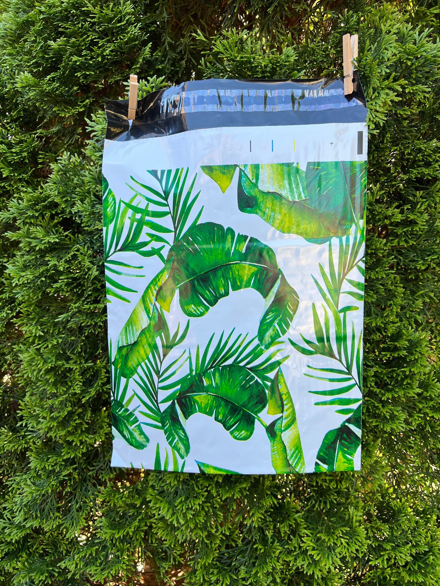 10x13 Premium Poly Mailer- Monstera Love