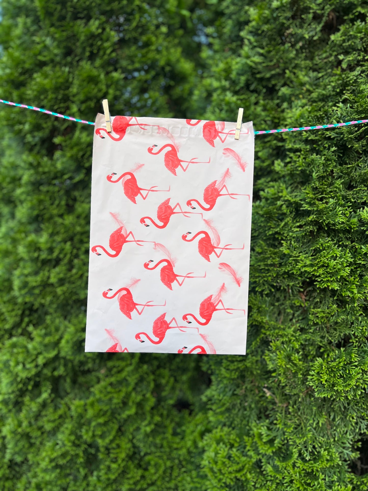 7x11 Premium Poly Mailer- Pinky Flamingo