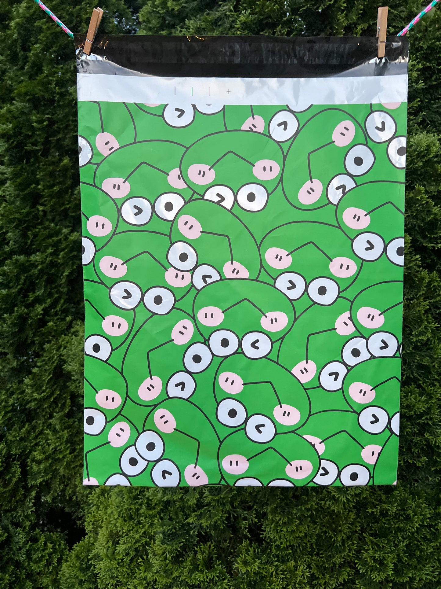 15x19 Premium Poly Mailer- Smiley Froggy
