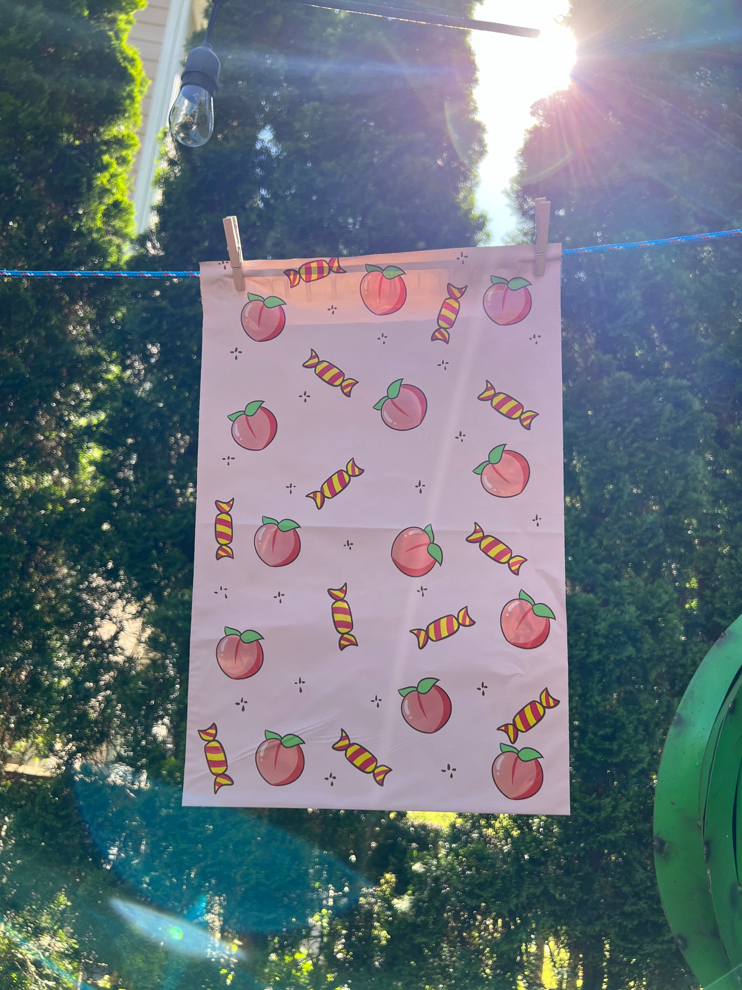 10x13 Premium Poly Mailer- Peach Party